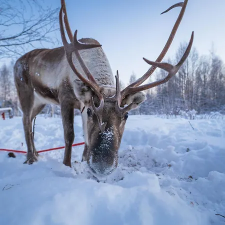 Postmaster Szálloda 4*