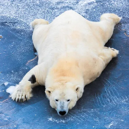 Postmaster Szálloda 4*