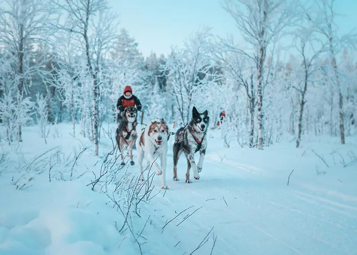 Hotel Postmaster Rovaniemi